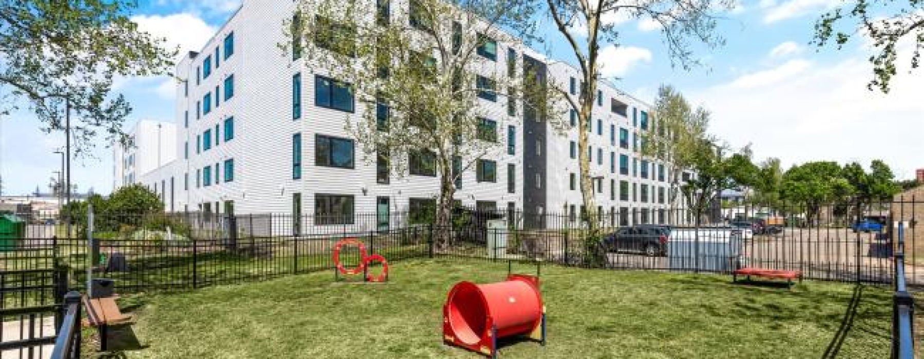 a pet park on green turf
