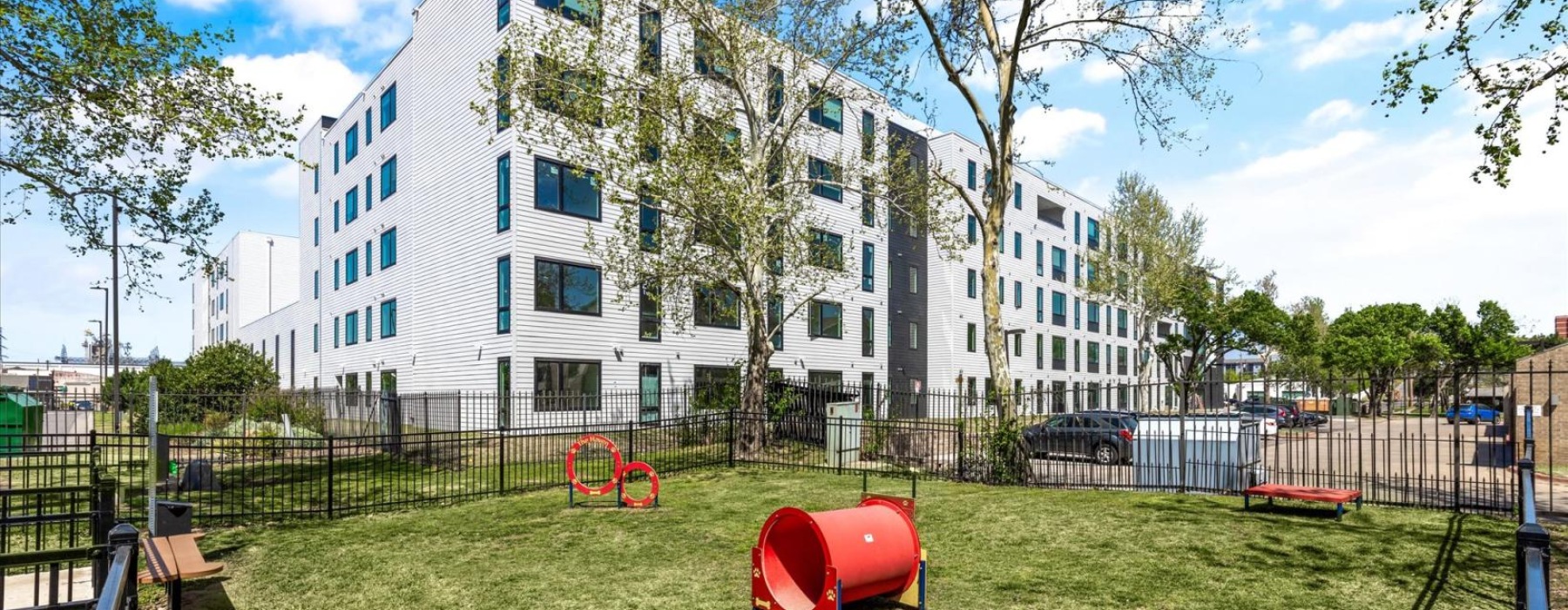 a pet park on green turf